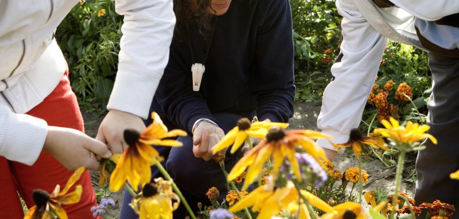 Onderwijs lopende projecten voortgang