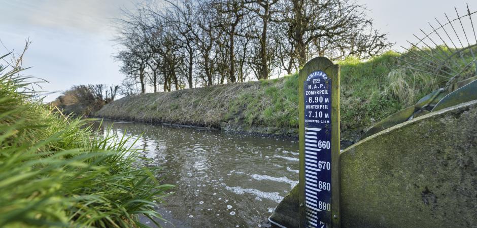 Water programma informatie mijlpalen