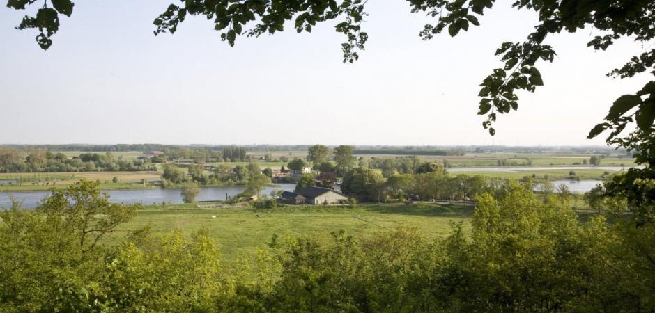 Landschap