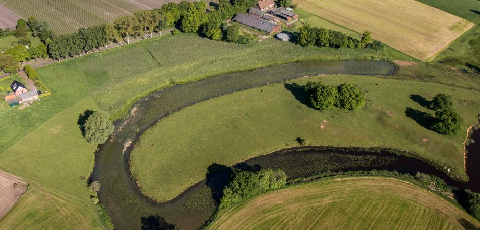 Landschap Overijssel