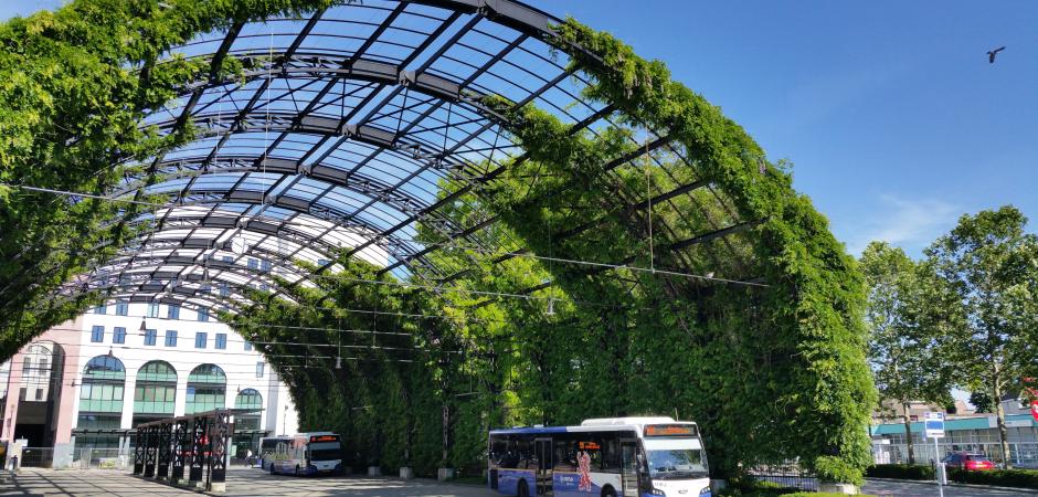 Busstation met natuur