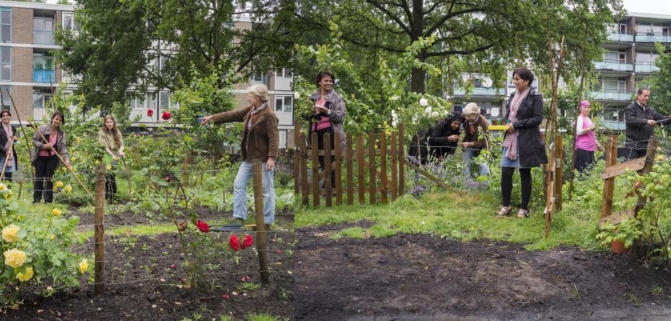 Stadslandbouw - Fotografie Ron de Rooij