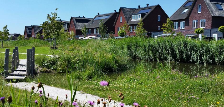 Natuurinclusief bouwen en biodiversiteit in Ede