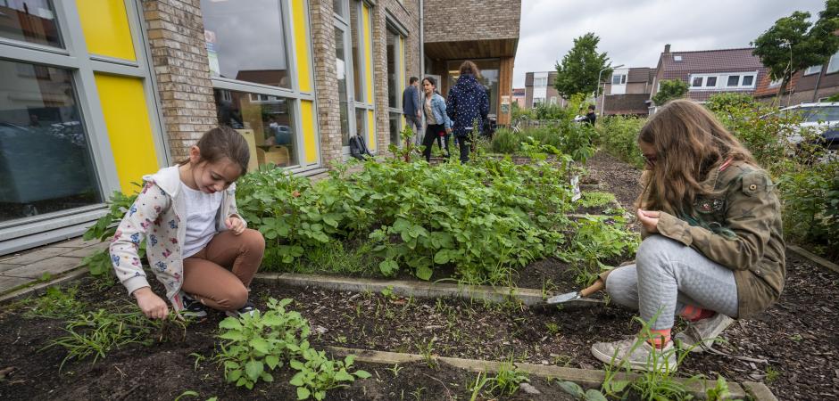 Kinderen aan het werk in de moestuin