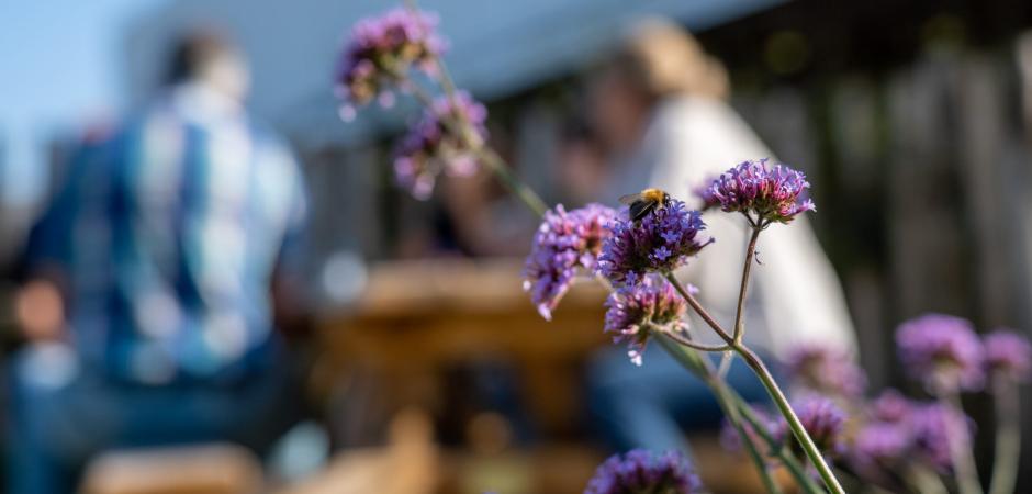 Bloem voor een picknicktafel