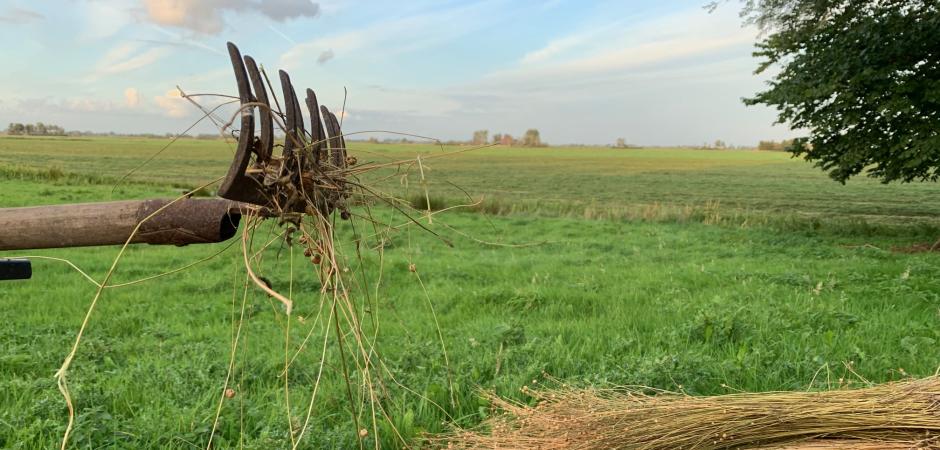 Uitzicht over het platteland met een hark en stro