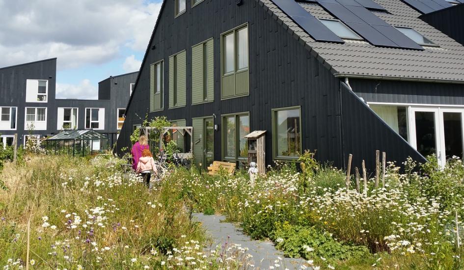 Klimaat adaptief bouwen