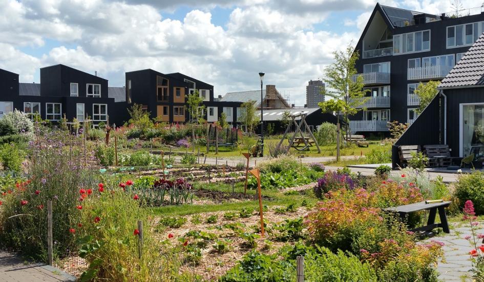 natuurinclusief wonen - biodiversitei