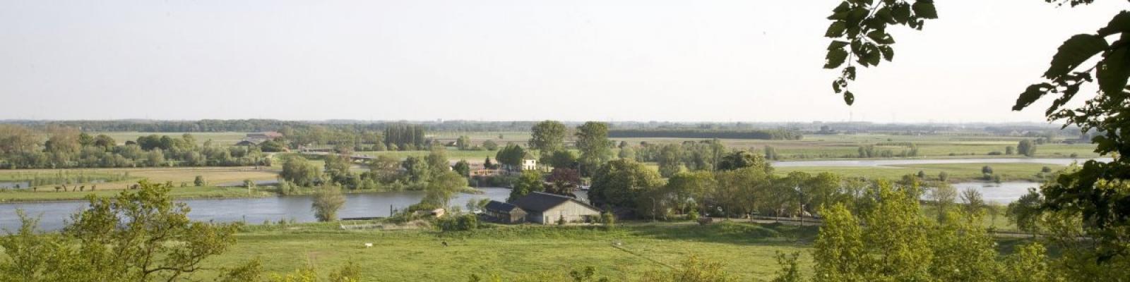 Landschap