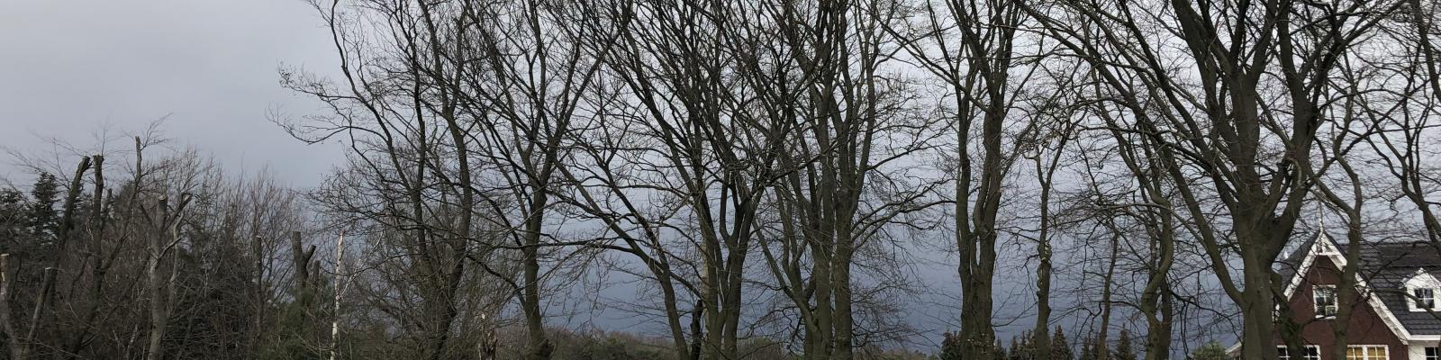 Biodiversiteit en bouwen