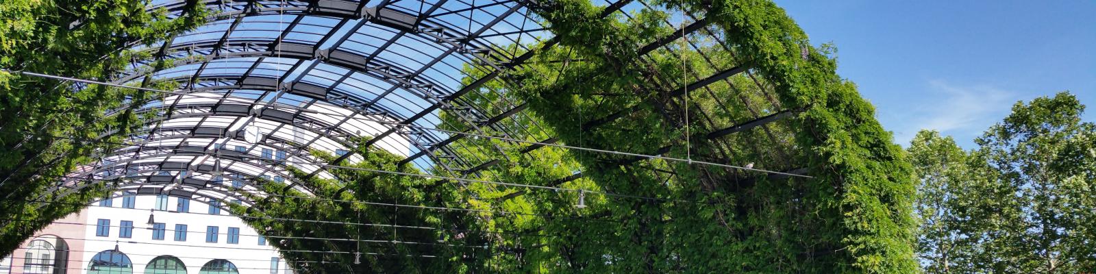 Busstation met natuur