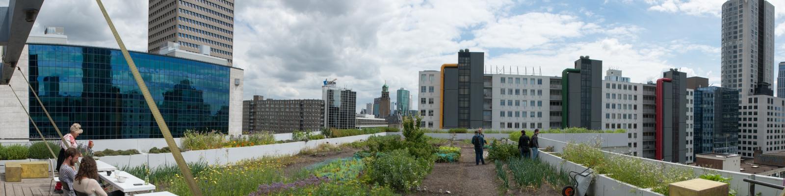 Stadslandbouw