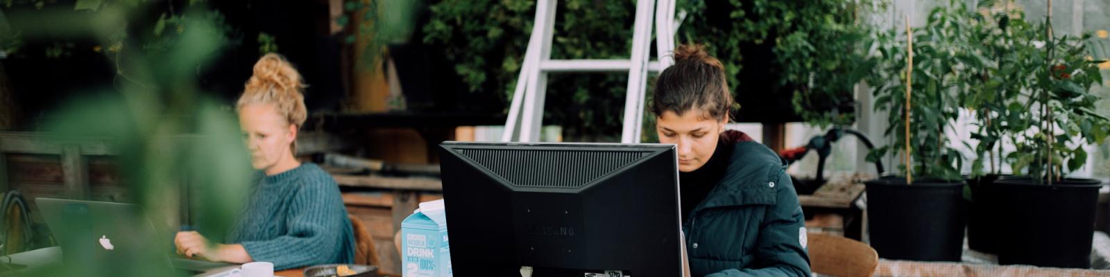 Hacktathon de groene stad