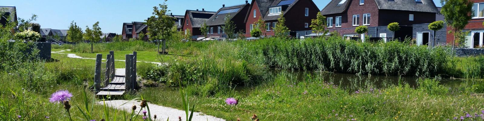 Natuurinclusief bouwen en biodiversiteit in Ede