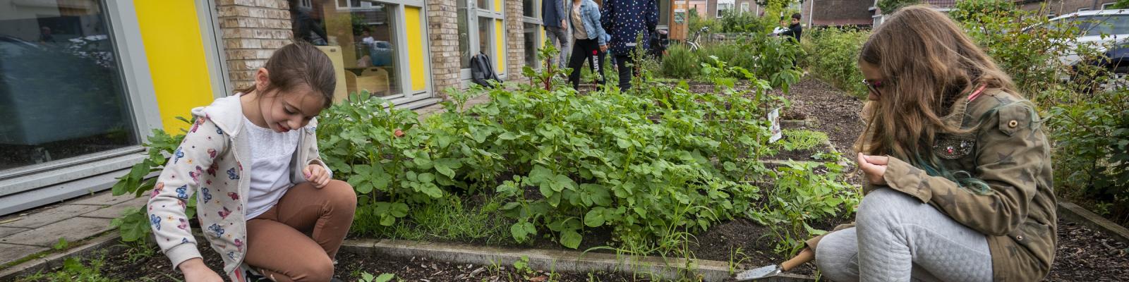 Kinderen aan het werk in de moestuin