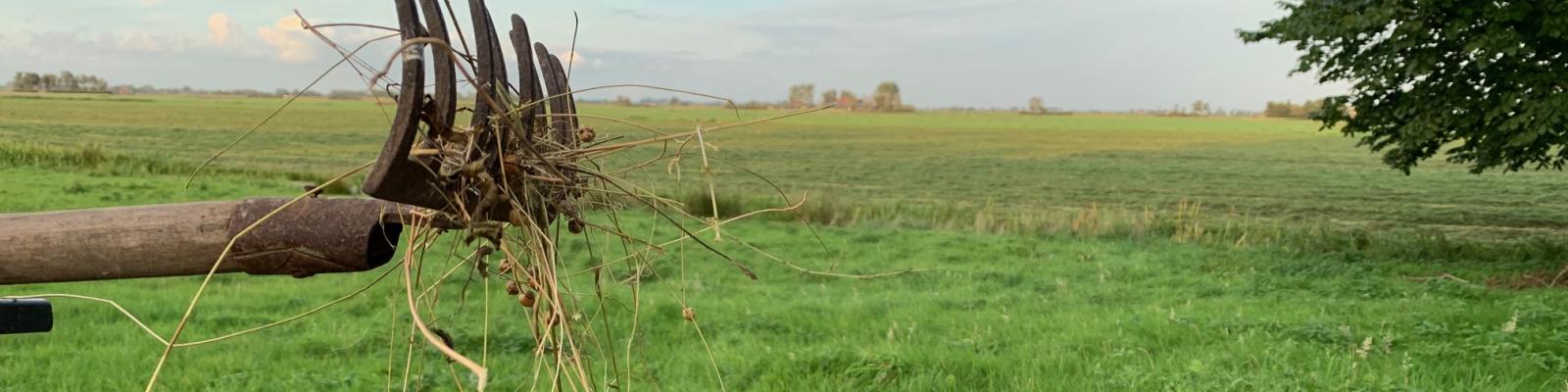 Uitzicht over het platteland met een hark en stro