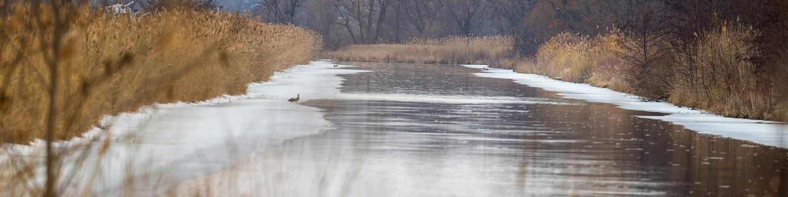 Een rivier in Nederland